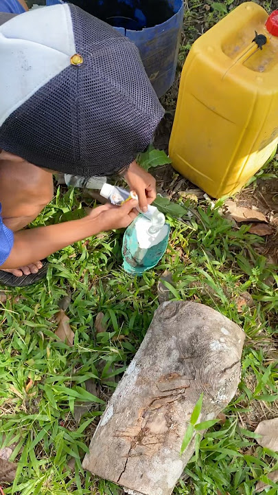 Bikin Pulut Super Lengket🥶#ahmadgozali #ahmadpetualang #bolang #survival #petualangan #shorts