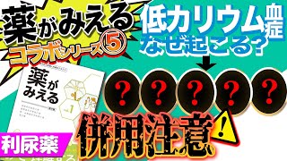 【低K血症はなぜ起こる？】利尿薬の副作用が起こる機序を知ってジギタリス中毒に結びつけよう！『薬がみえる』の超分かりやすい図解付き！