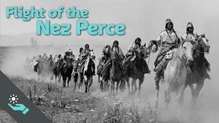 The Flight of the Nez Perce | Indian Removal | KB #Shorts