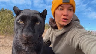 Forest walking with Luna the panther & Co 😸🐾(ENG SUB) by Luna_the_pantera 108,844 views 13 days ago 15 minutes