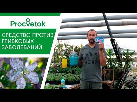 Видео: Применение медного фунгицида: когда использовать медный фунгицид в саду