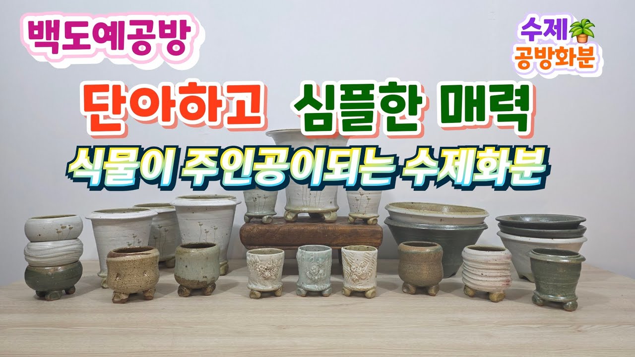 식물을 주인공으로 빛이나게 만들어 줄 수제화분🤗단아/심플🪴#수제화분 #공방화분#야생화화분#다육화분#선인장#분갈이화분#아프리카식물#고급화분#롱분#분청화분#솟대화분#봄분갈이#플렌테리어