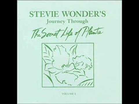 Come Back As A Flower - Stevie Wonder