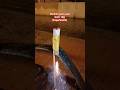 rocket pixis and bom 10g #fireworks #experiment #rocket #pyro #fallasleepfast #eventpyrotechnik