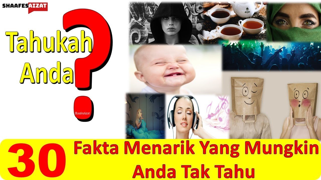 Tahukah Anda Fakta Menarik Di Dunia Super Refreshi Vrogue Co