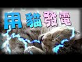 【on.cc東網】東網奇趣：貓跑輪發電實驗　一個月貢獻不足一日圓
