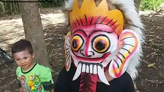 Bocil Bermain Topeng Barong Bali Mantap