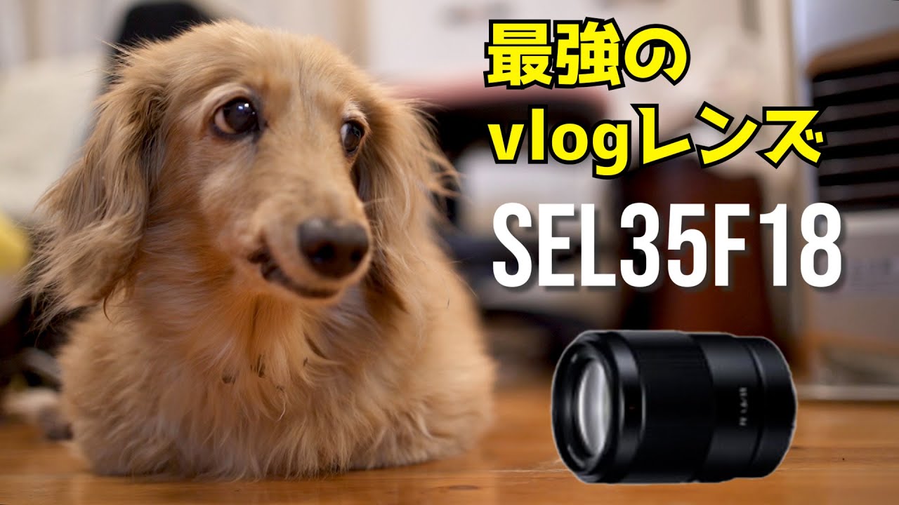 35mmレンズがvlog最強説【SONY 35mm f1.8】 - YouTube 35mmレンズがvlog最強説【SONY 35mm f1.8】 - YouTube