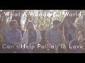 What A Wonderful World / Can't Help Falling In Love (feat. Peter & Evynne Hollens)