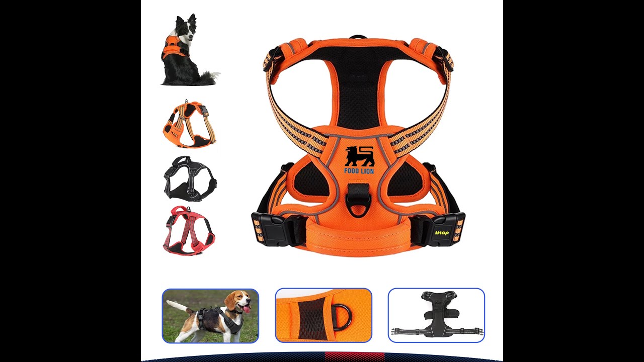 Versus Pet Vest YouTube