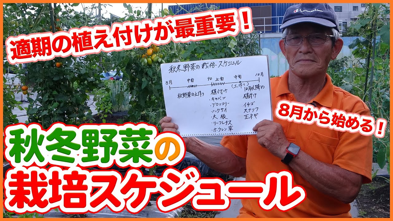 夏から計画 家庭菜園で秋冬野菜栽培を成功させる大事な栽培スケジュールの決め方 元肥 土づくり 畝づくり 苗の準備など解説 農園ライフ Youtube 夏から計画 家庭菜園で秋冬野菜栽培を成功させる大事な栽培スケジュールの決め方 元肥 土づくり 畝づくり 苗の準備など解説 農園ライフ Youtube