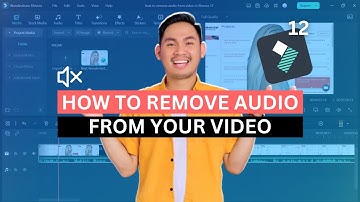How To Easily Remove Audio From Video In Filmora 12 (2023)