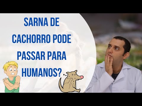 Vídeo: Você sabia que seu cão poderia nascer com sarna?
