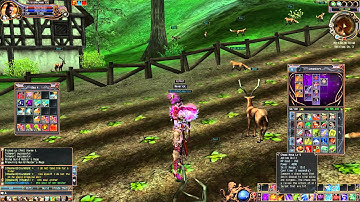 Last Chaos - Bug Report 10 - Guild Rage Does Not Work