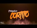 PERREO CORTITO - RKT - BRIANMIX