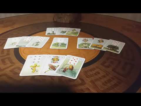 ჩემი პარტნიორის გეგმები. მეშვიდე ვარიანტი.