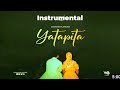 Diamond Platnumz Yatapita Instrumental