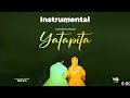 Diamond Platnumz - Yatapita (Instrumental)