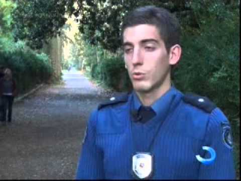 შსს-მ ორგანიზებული დანაშაულის წინააღმდეგ ბრძოლის კამპანია დაიწყო