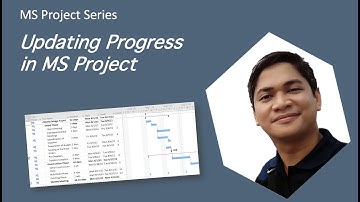 Updating Task Progress in MS Project