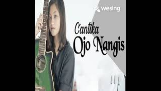 Ojo Nangis // Cantika Davinca (Cover Dodo Fr) Video ini dari WeSing