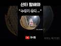 [ 피아노 폐가 ] #산타할배#피아노폐가 #그들이사는곳#최나벨#흉가 #공포#미스터리#귀신#short#horror#폐가 #ghost#심령장비#공포흉가#고스트장비#리얼공포#고스트박스