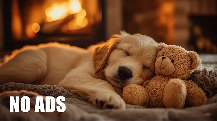 12 Hours Calming Music For Dogs 🐶 Anti Separation Anxiety Relief Music 🎵 Healing for Dogs No Ads