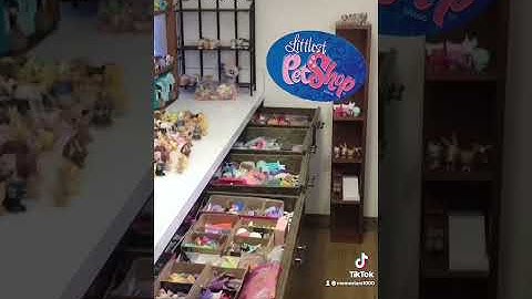 Rare Littlest Pet Shops! Did you know? #Shorts