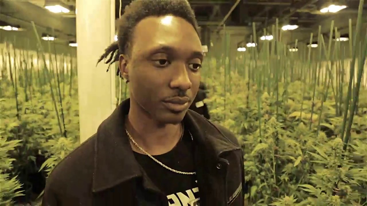 Scotty gives away FREE weed in Denver (trailer)