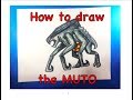 How to draw the MUTO