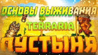 Основы Выживания - Пустыня | Terraria