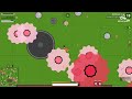 SURVEV.IO LIVE WITH VIEWERS  #14
