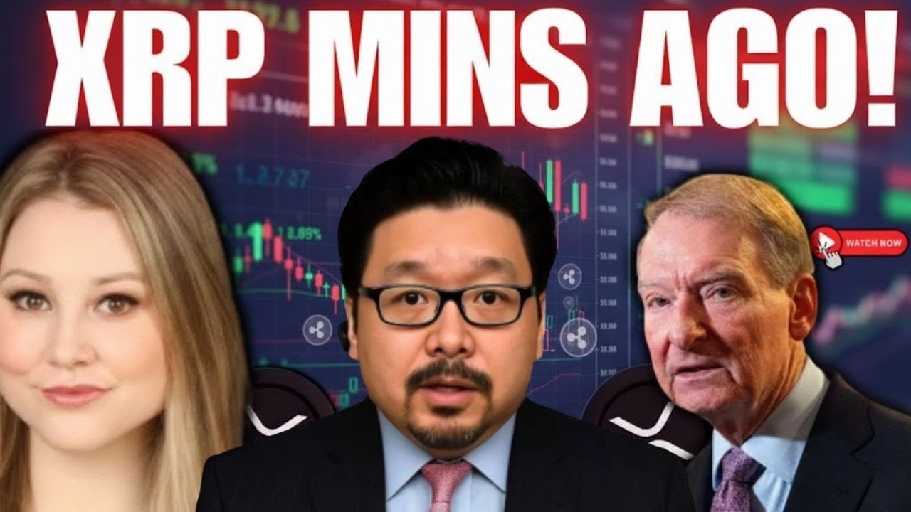 Minutes Ago: CLARITY Act XRP Updates! 🚨