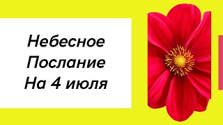 Небесное послание на 4 июля. Верьте в свою мечту.