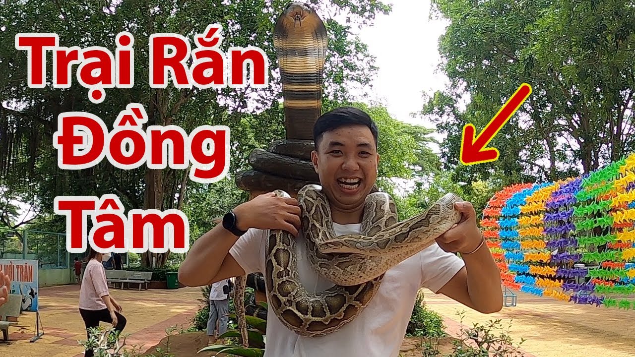 Đi tham quan Trại Rắn Đồng Tâm - Lần đầu xem hơn 400 loài rắn cực độc ...