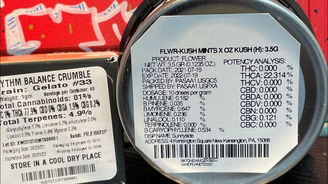 Insa KUSH MINTS X OZ KUSH YouTube