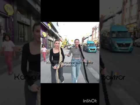 Keşfetaçıl Fypviralシ Itzymidzy Tutsunartık Keşfetöneçık Viralvideo Qlobal Tutsuninş Tut