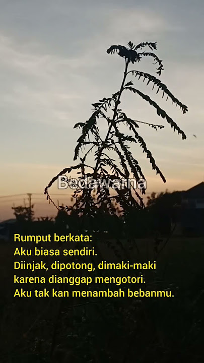 SUARA RUMPUT#shorts #storywa30detik