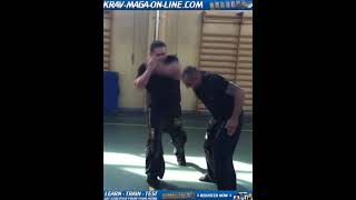 #Shorts KRAV MAGA SEMINAR WITH ALAIN COHEN - MILANO 2015