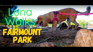 Luna Walks Fairmount park