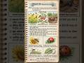 Agriculture Entomology | लाभकारी कीट | B.Sc. Agriculture Short Notes
