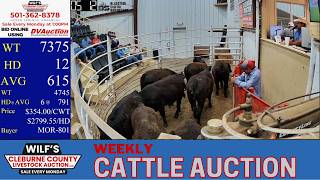 WILF’S CLEBURNE COUNTY LIVESTOCK AUCTION | Memorial Day Ozark Cattle Exchange | 5.25.26