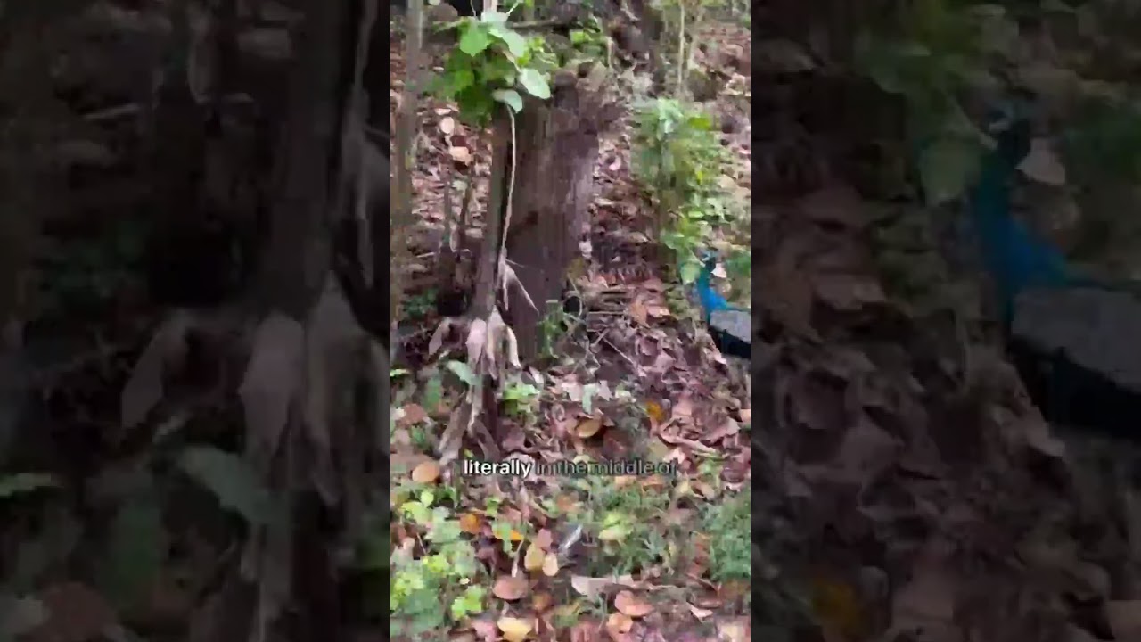 Spend the day with me in Hiriketiya, Sri Lanka 🌸🌺💌✨ • • • 