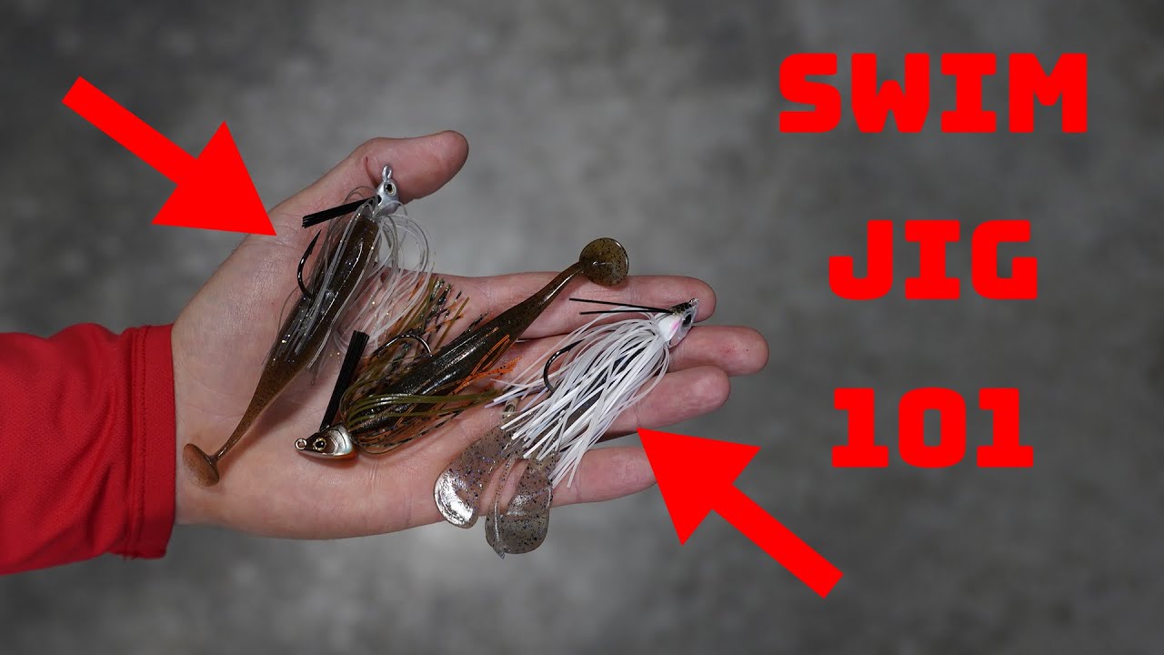 Breaking Down Our Favorite Swim Jigs To Fish To Catch Bass! 