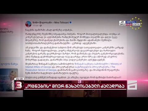 წილოსანი მოქალაქეს ადევნებაში ადანაშაულებს და გამოძიების დაწყებას ითხოვს