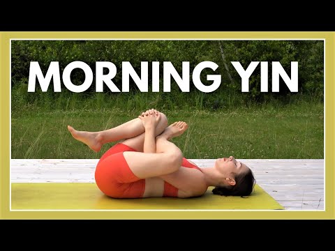 20 min Morning Yin Yoga Stretch - FULL BODY Yin Yoga 