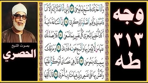 صفحة 313 سورة طه - وأنا اخترتك فاستمع لما يوحى (13) إنني أنا الله لا إله إلا أنا فاعبدني وأقم الصلاة