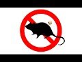 ▶️ Mouse & Rat Ultra Sonic Deterrent. Mice Ultrasonic Repellent. 12 Hours. 🌏