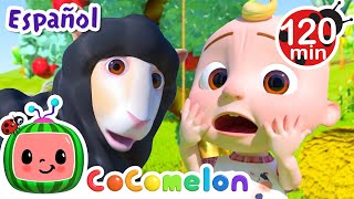 Ovejita negra | CoComelon y los animales 🍉| Dibujos para niños by CoComelon y Animales - Canciones infantiles 75,698 views 2 months ago 2 hours