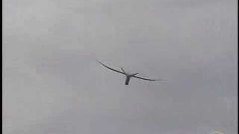 Modelzone Previews The Firebird Scout